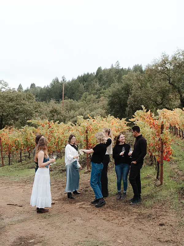 Estate Tasting and Tour